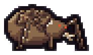 Mud Mite