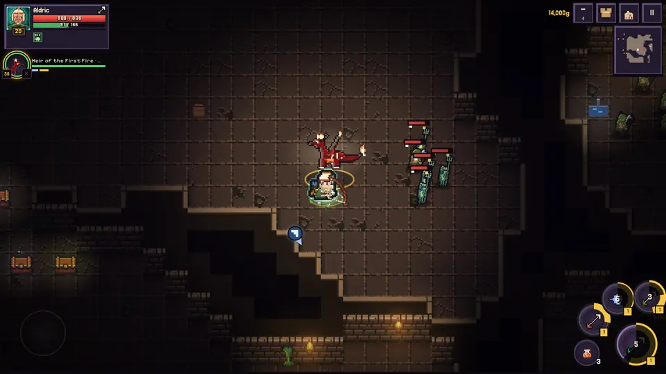 A hero and their pet fighting side by side in a dungeon